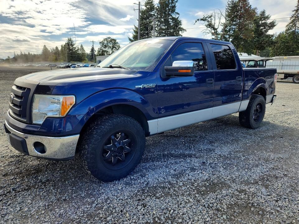 2009 FORD F-150