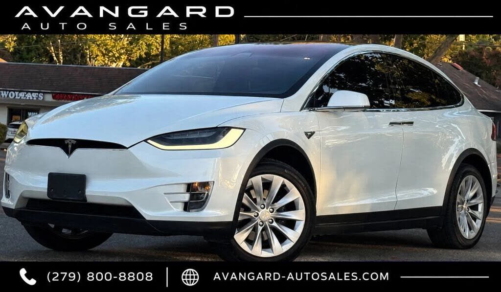 2019 TESLA Model X