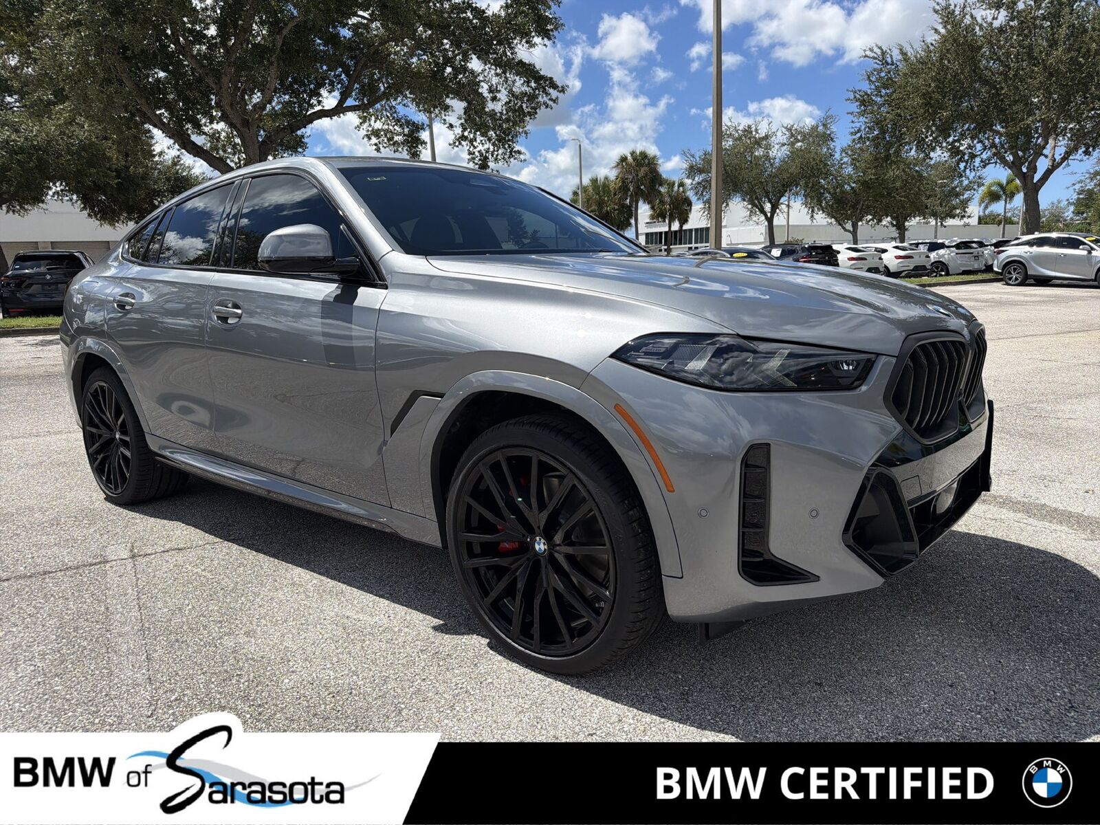 2024 BMW X6