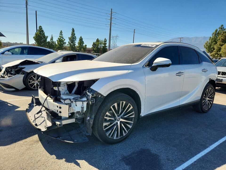 2024 LEXUS RX