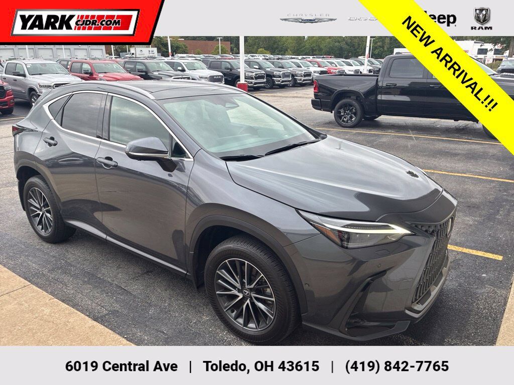 2025 LEXUS NX