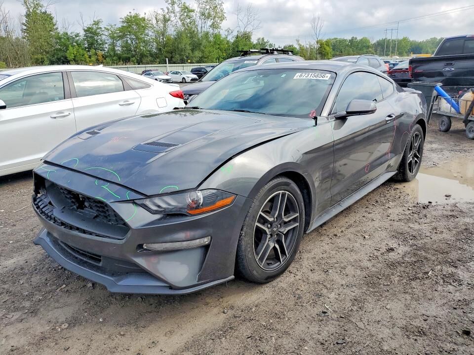 2019 FORD Mustang