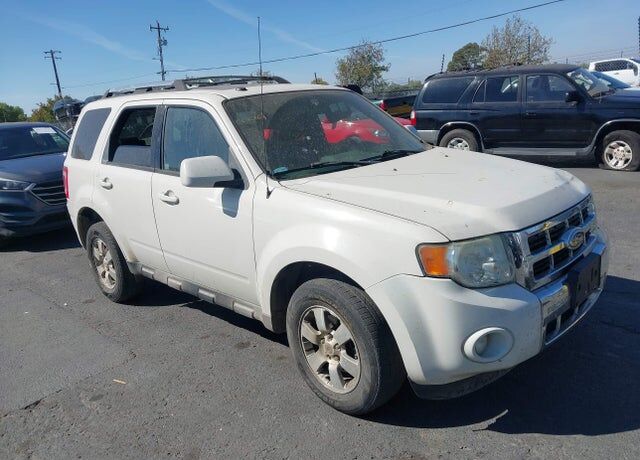 2010 FORD Escape