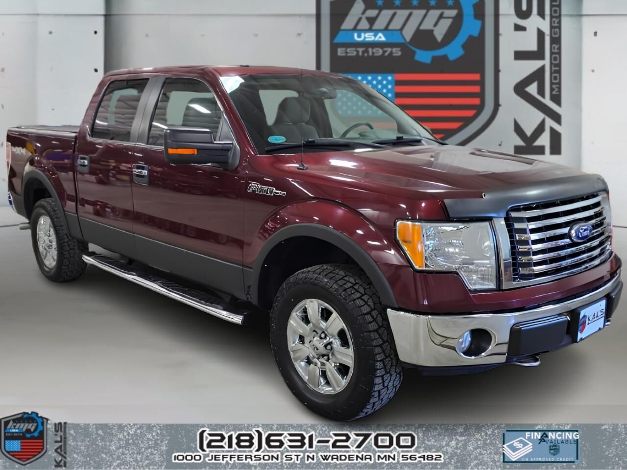 2010 FORD F-150