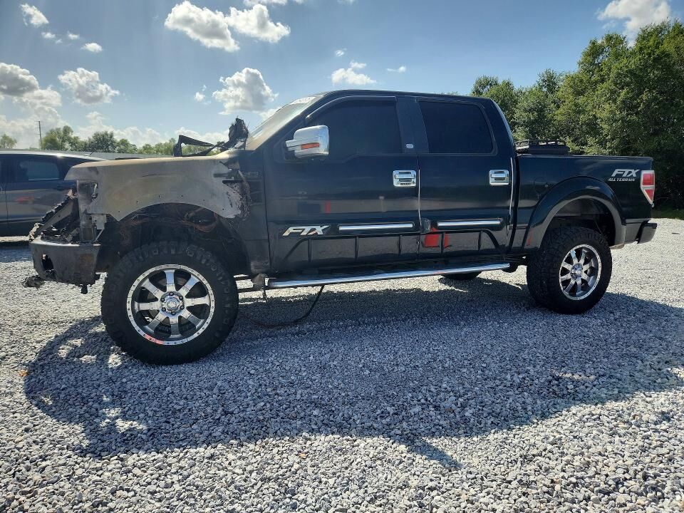 2010 FORD F-150