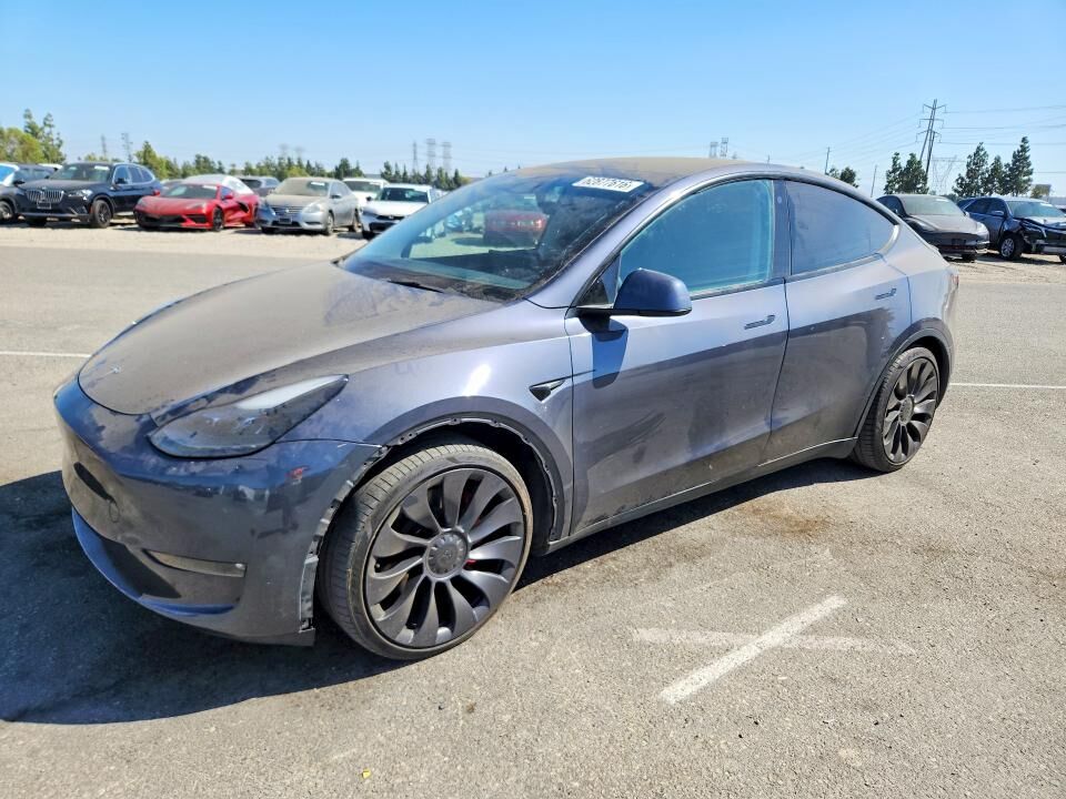 2023 TESLA Model Y
