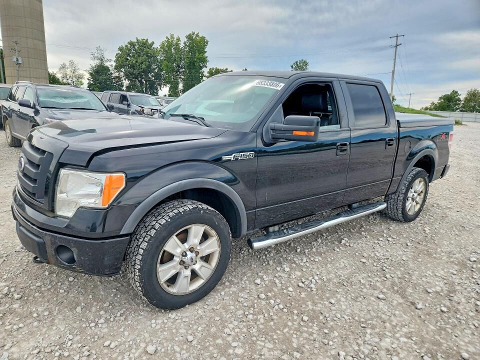2010 FORD F-150