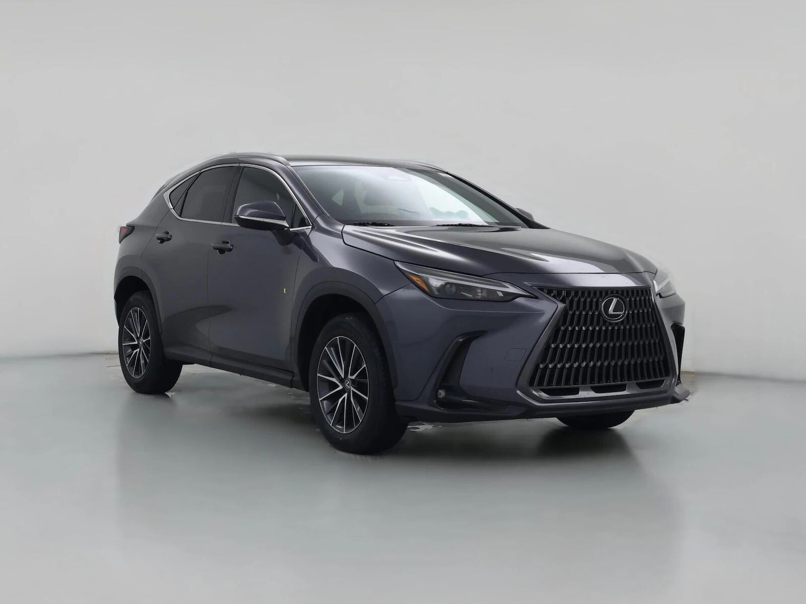 2024 LEXUS NX