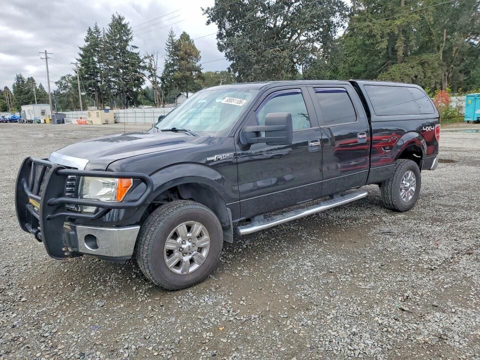 2010 FORD F-150
