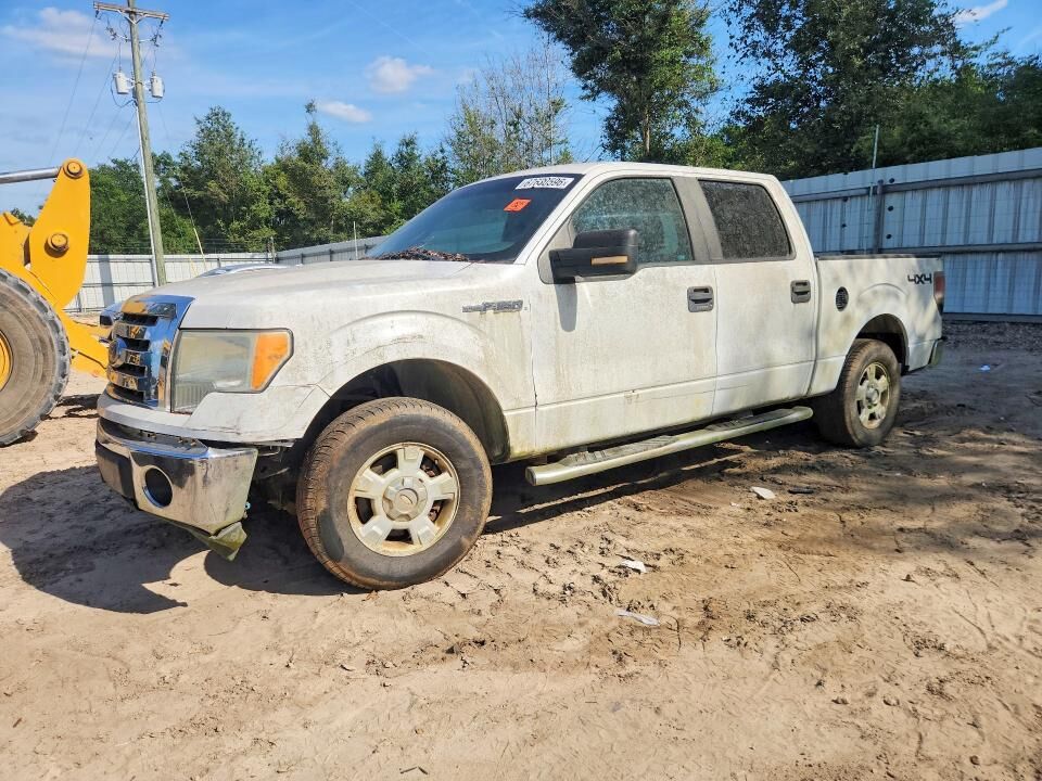 2010 FORD F-150