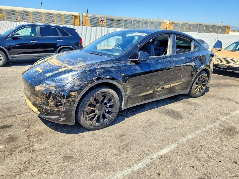 2024 TESLA Model Y