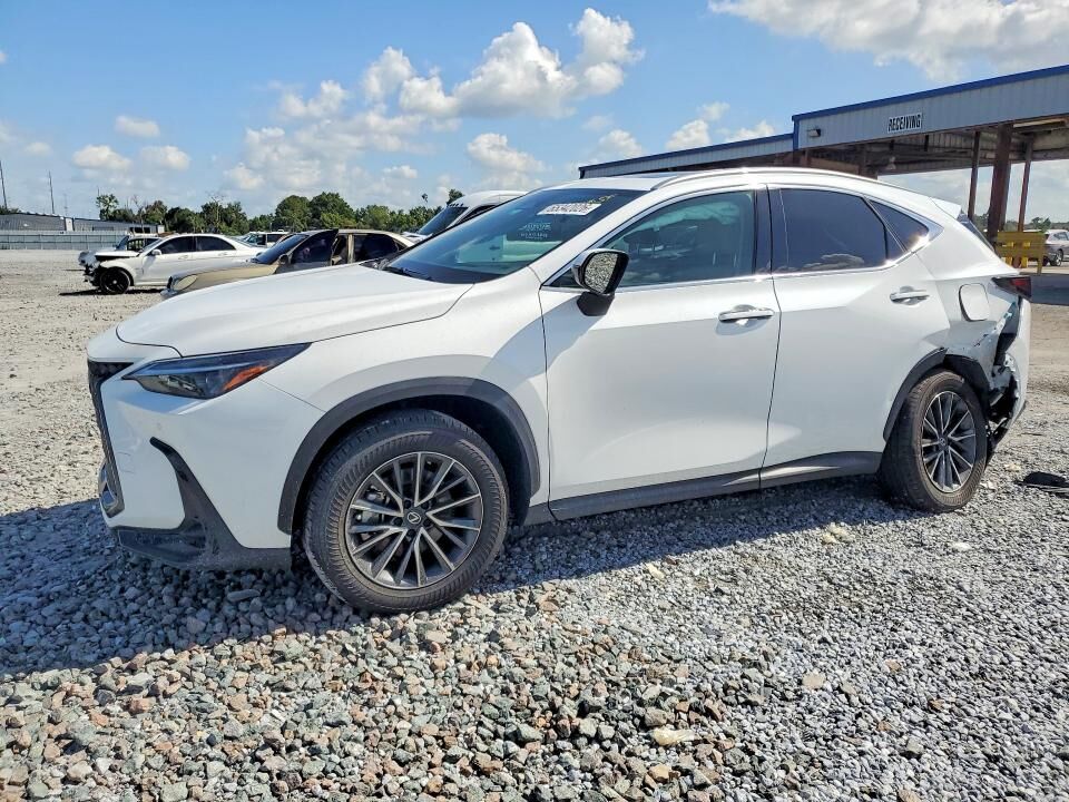 2026 LEXUS NX