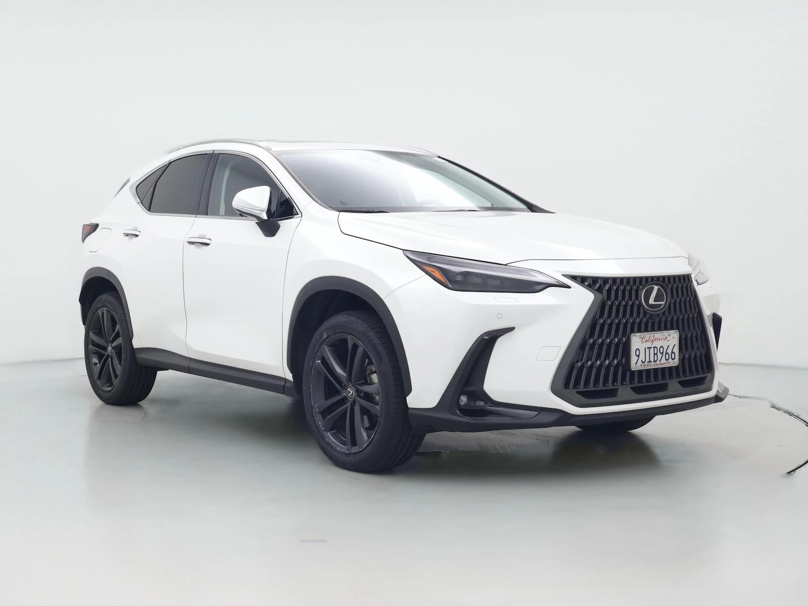2024 LEXUS NX