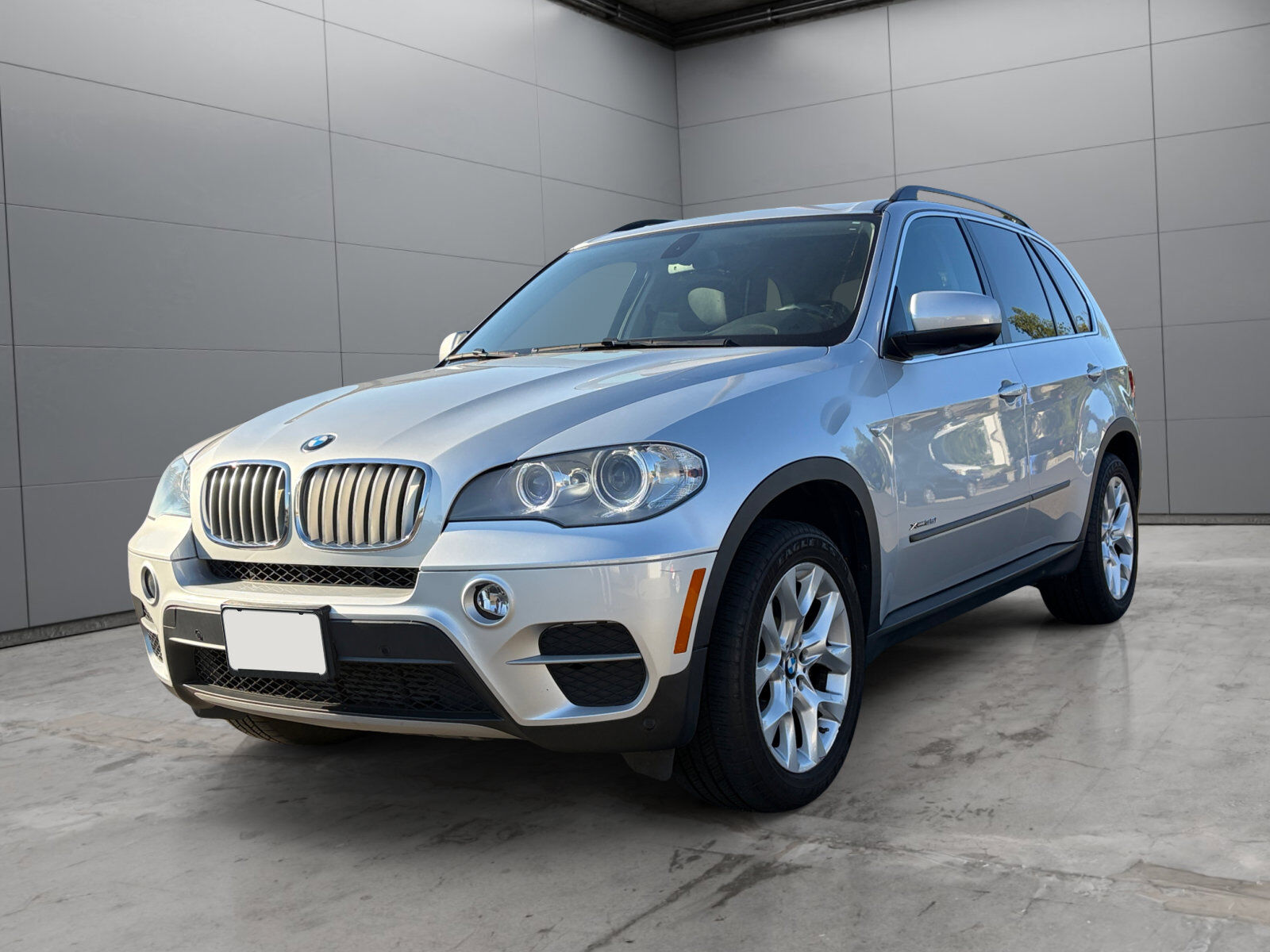 2013 BMW X5