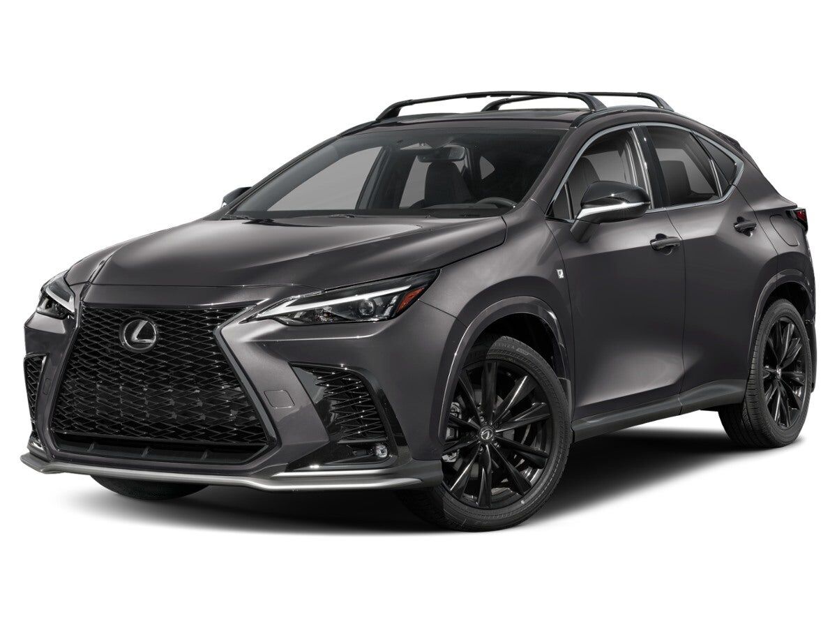 2024 LEXUS NX