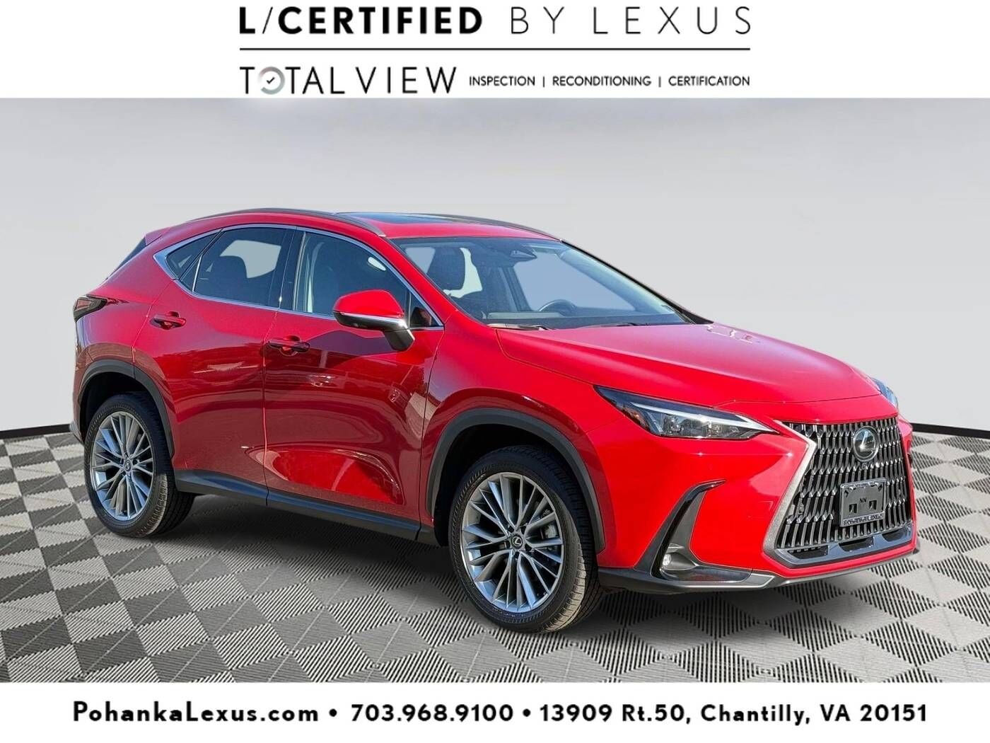 2025 LEXUS NX