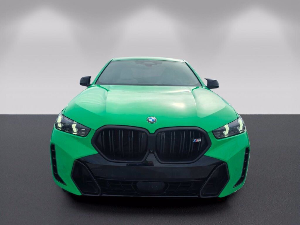 2025 BMW X6