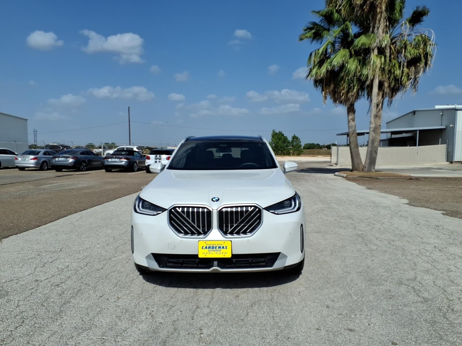 2025 BMW X3