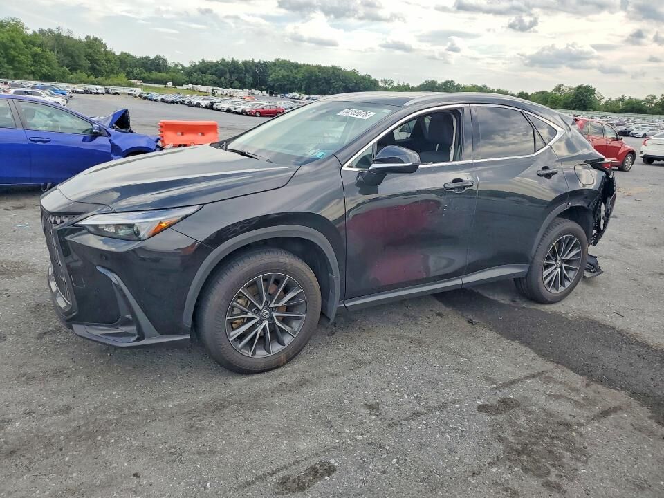 2024 LEXUS NX