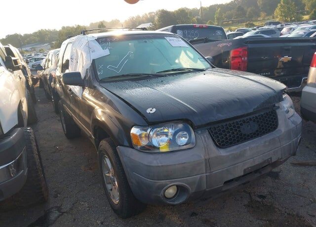 2007 FORD Escape