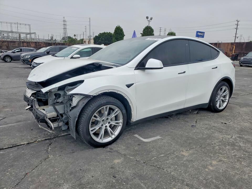 2020 TESLA Model Y