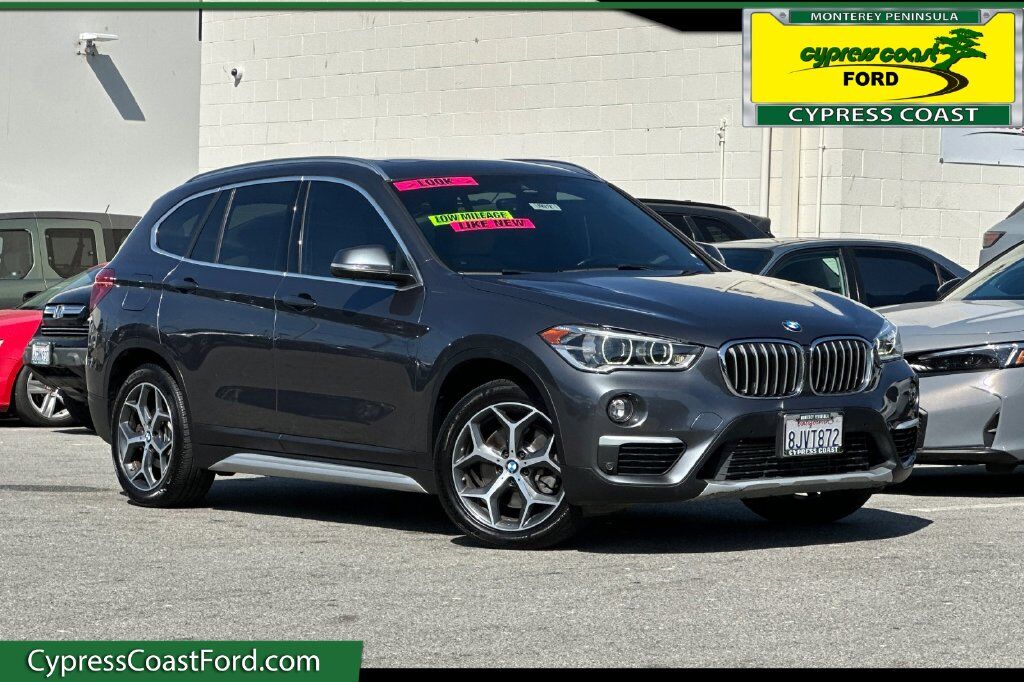 2019 BMW X1