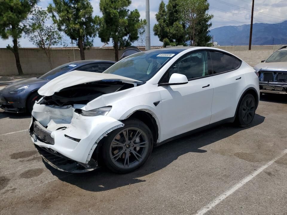 2024 TESLA Model Y