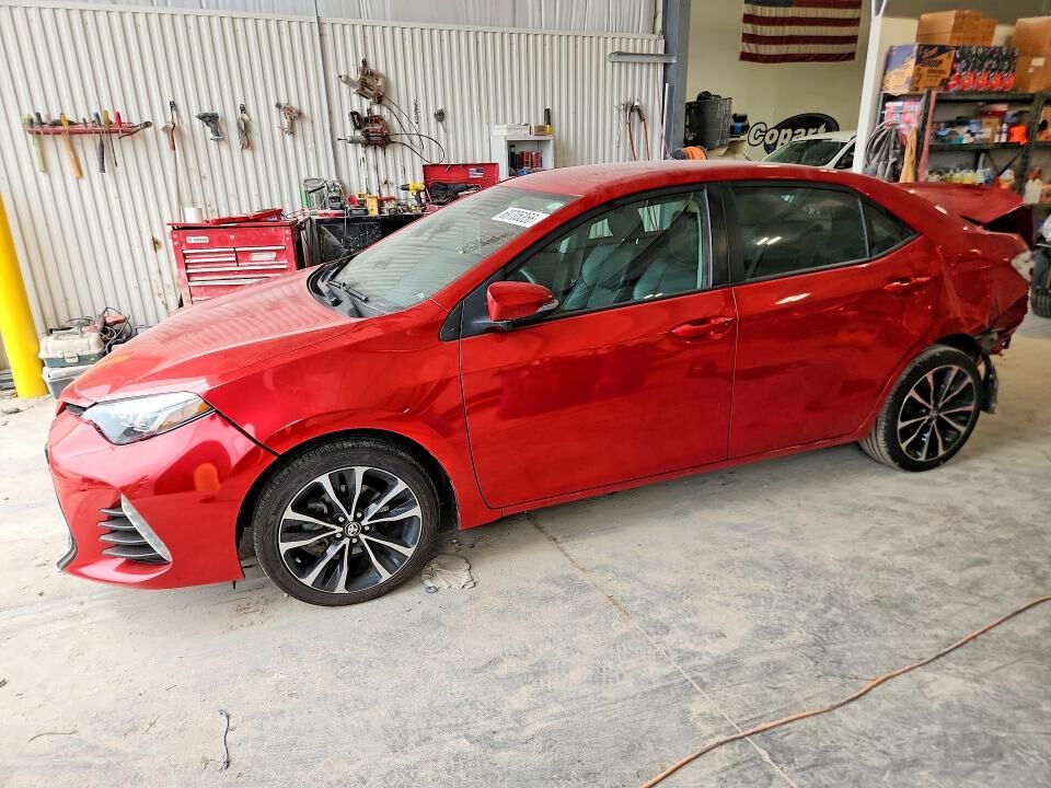 2019 TOYOTA Corolla