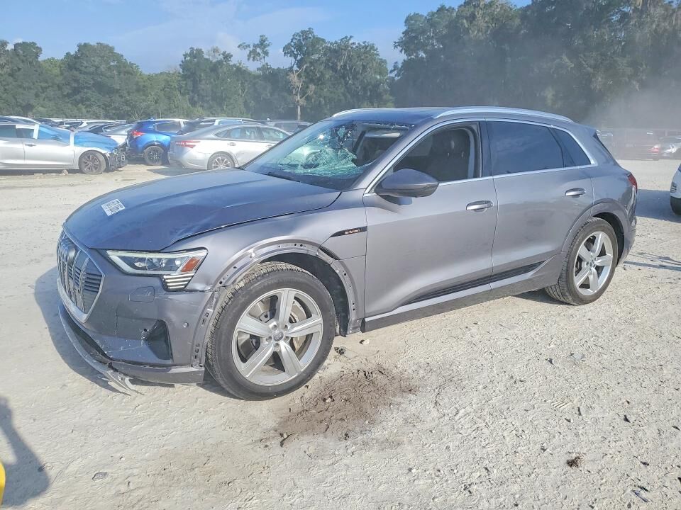 2019 AUDI e-tron