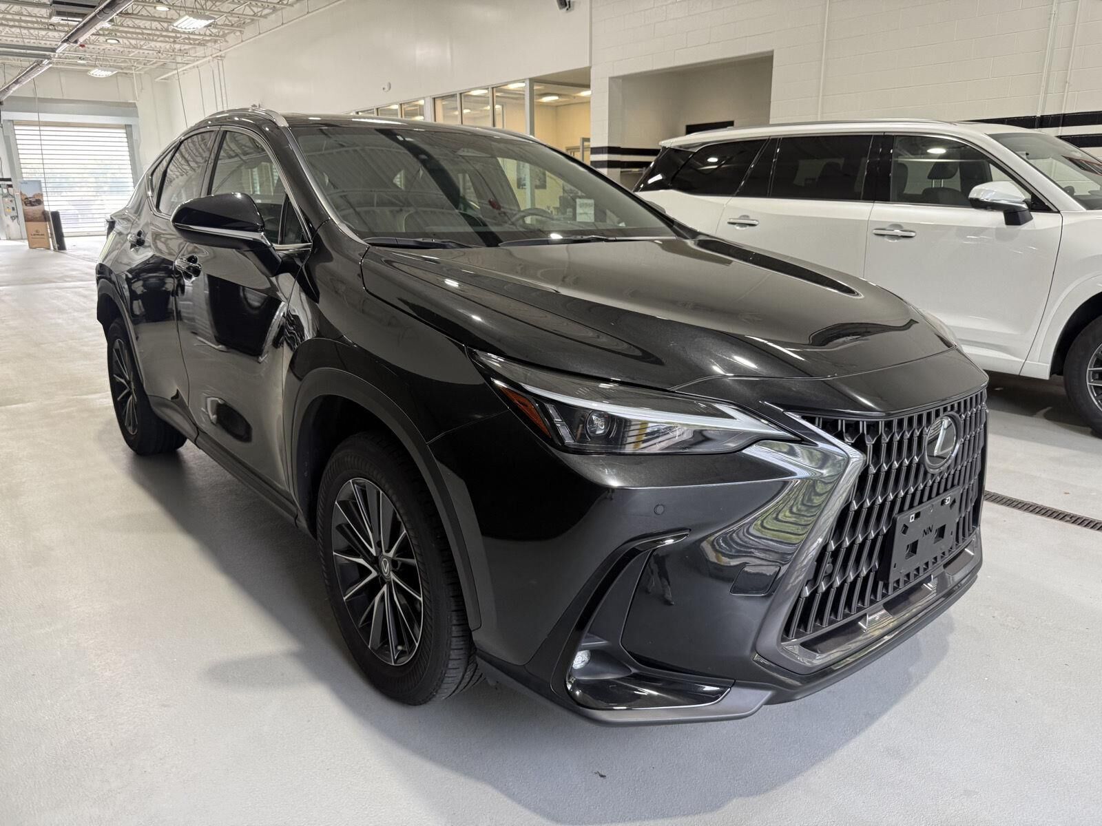 2022 LEXUS NX
