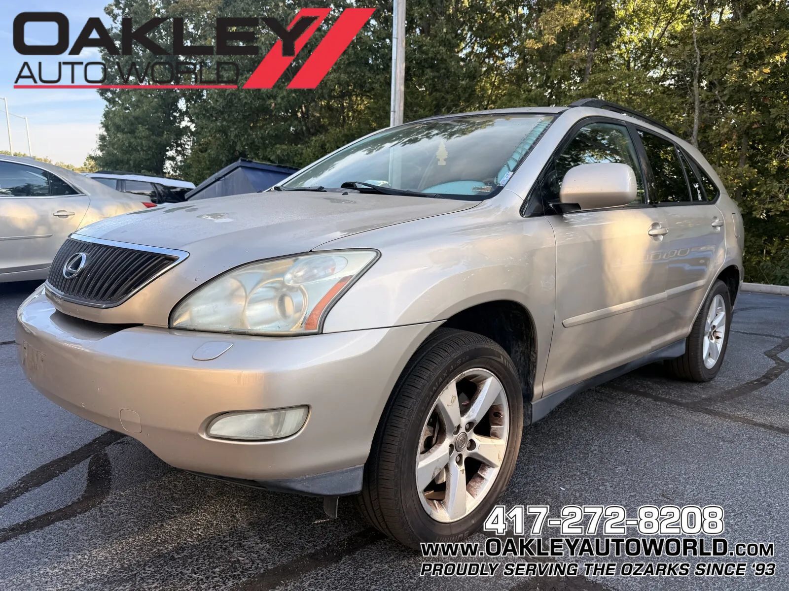 2004 LEXUS RX