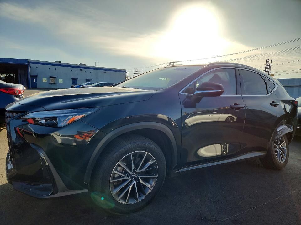 2024 LEXUS NX