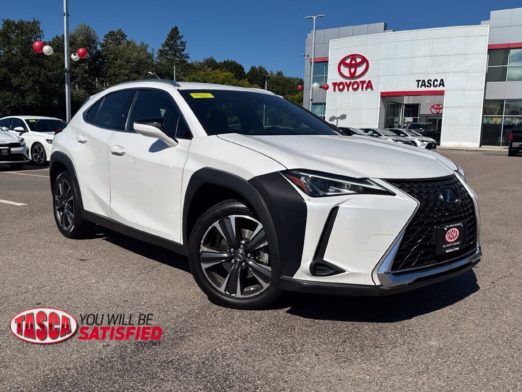 2019 LEXUS UX