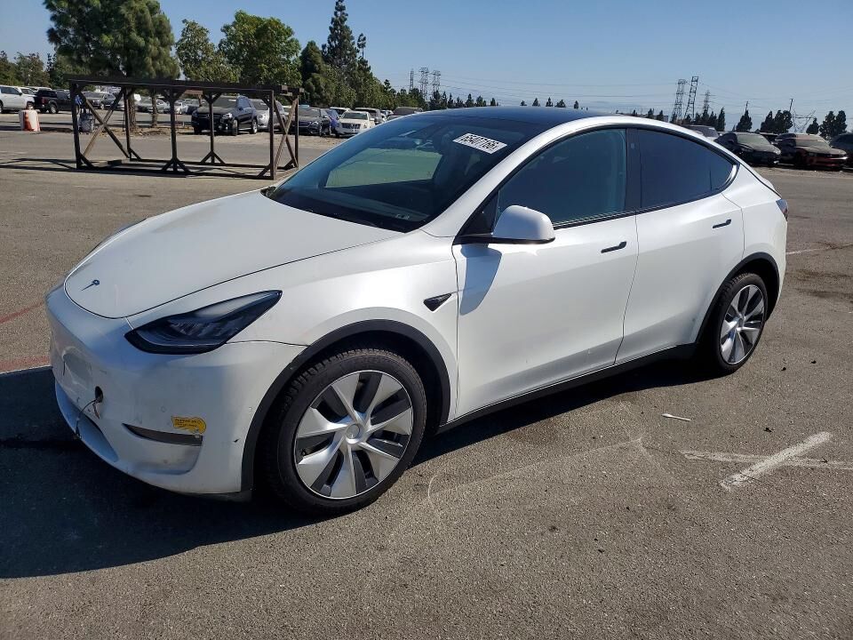 2021 TESLA Model Y