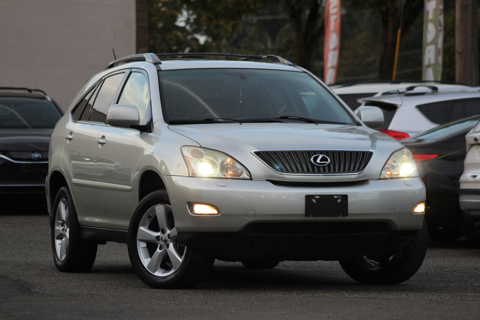 2005 LEXUS RX