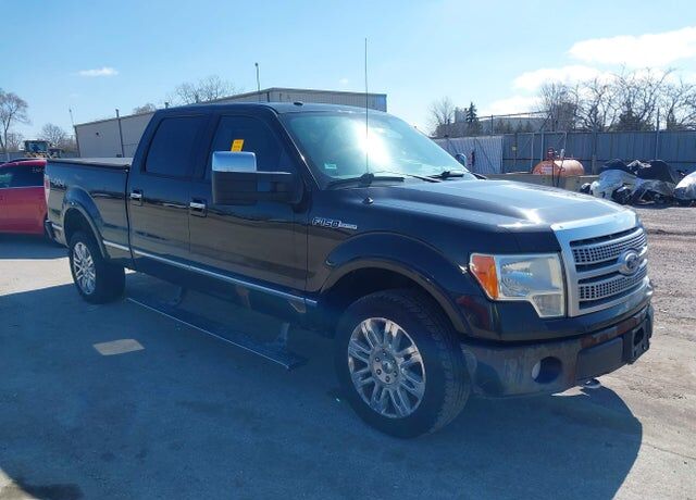 2010 FORD F-150