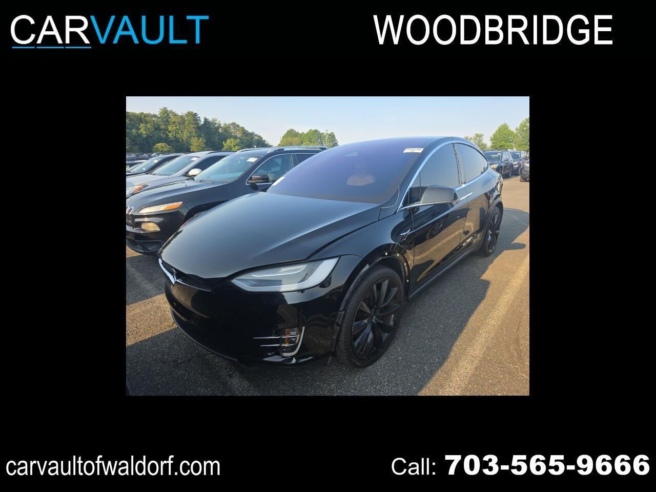2019 TESLA Model X