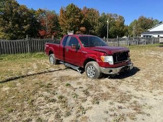 2013 FORD F-150