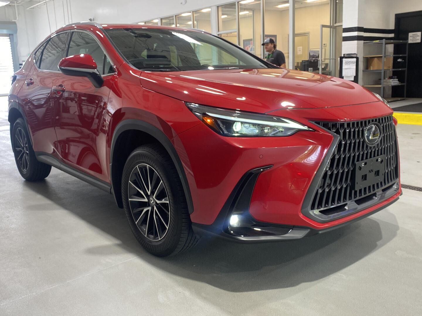2024 LEXUS NX