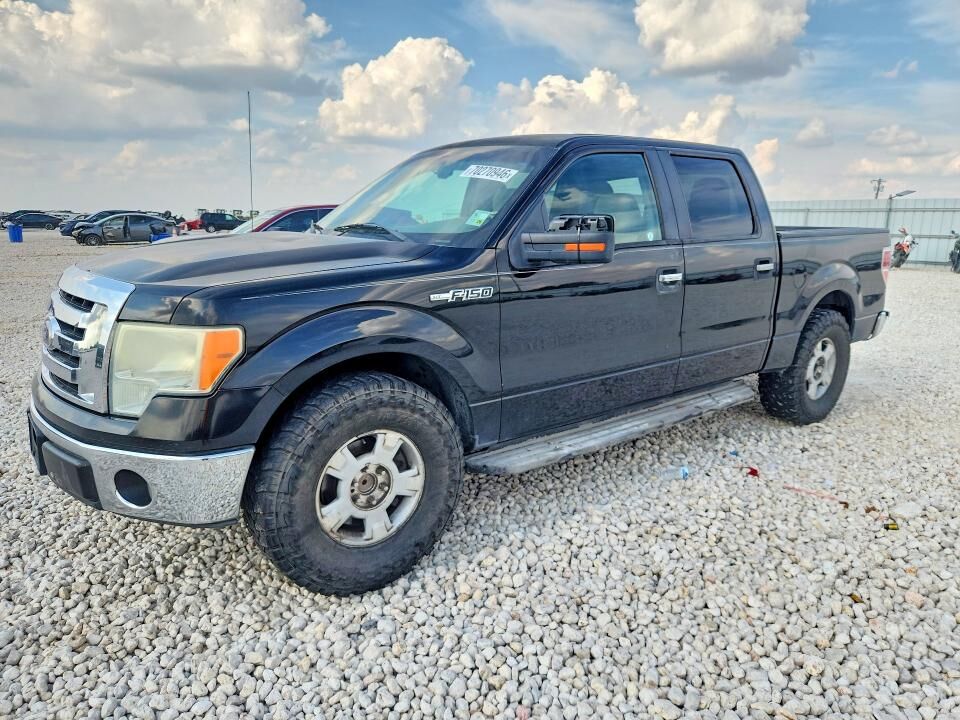 2010 FORD F-150