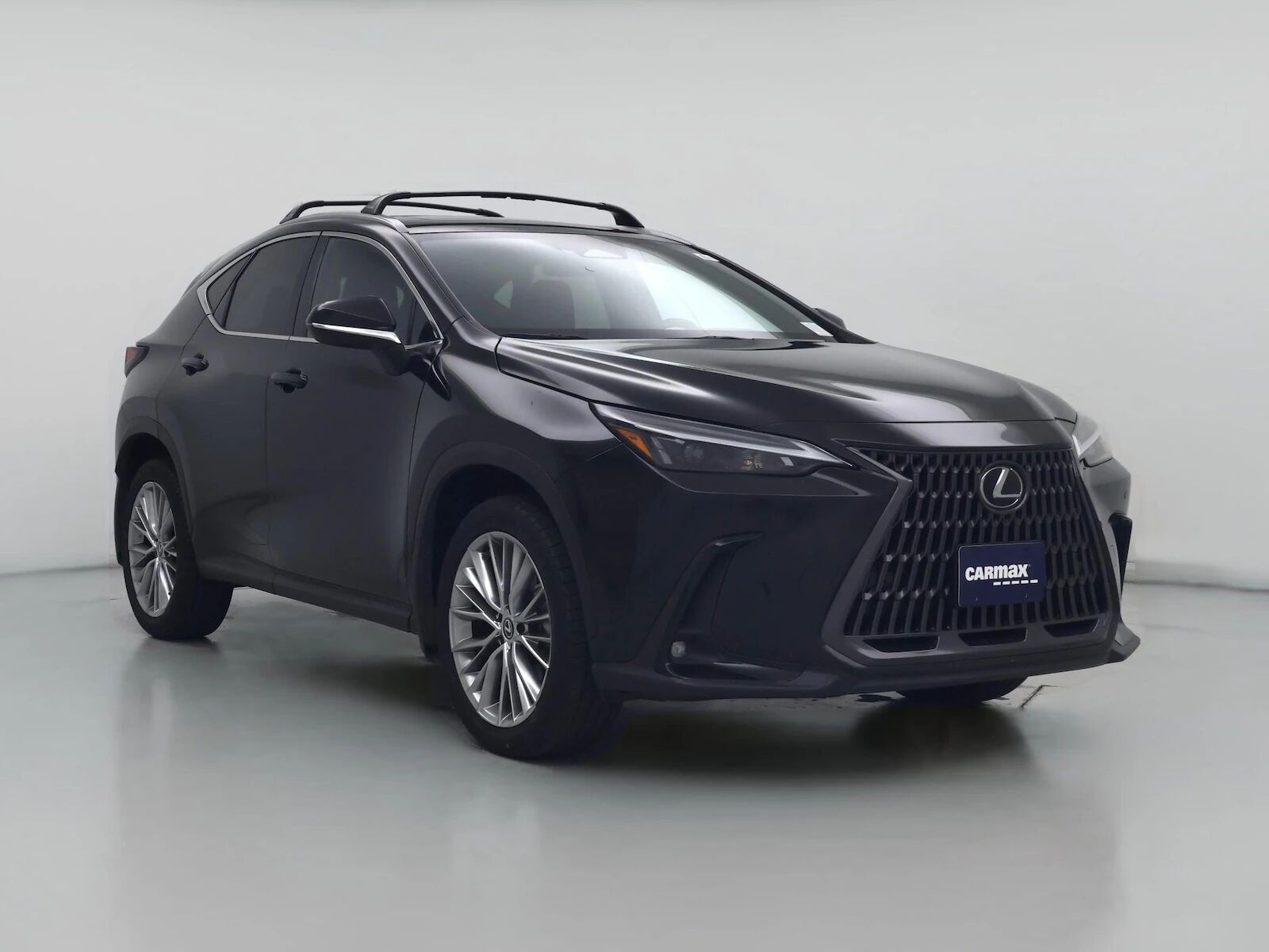 2025 LEXUS NX