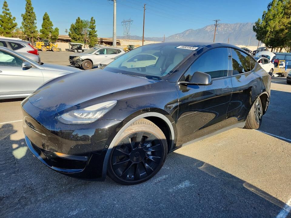 2020 TESLA Model Y