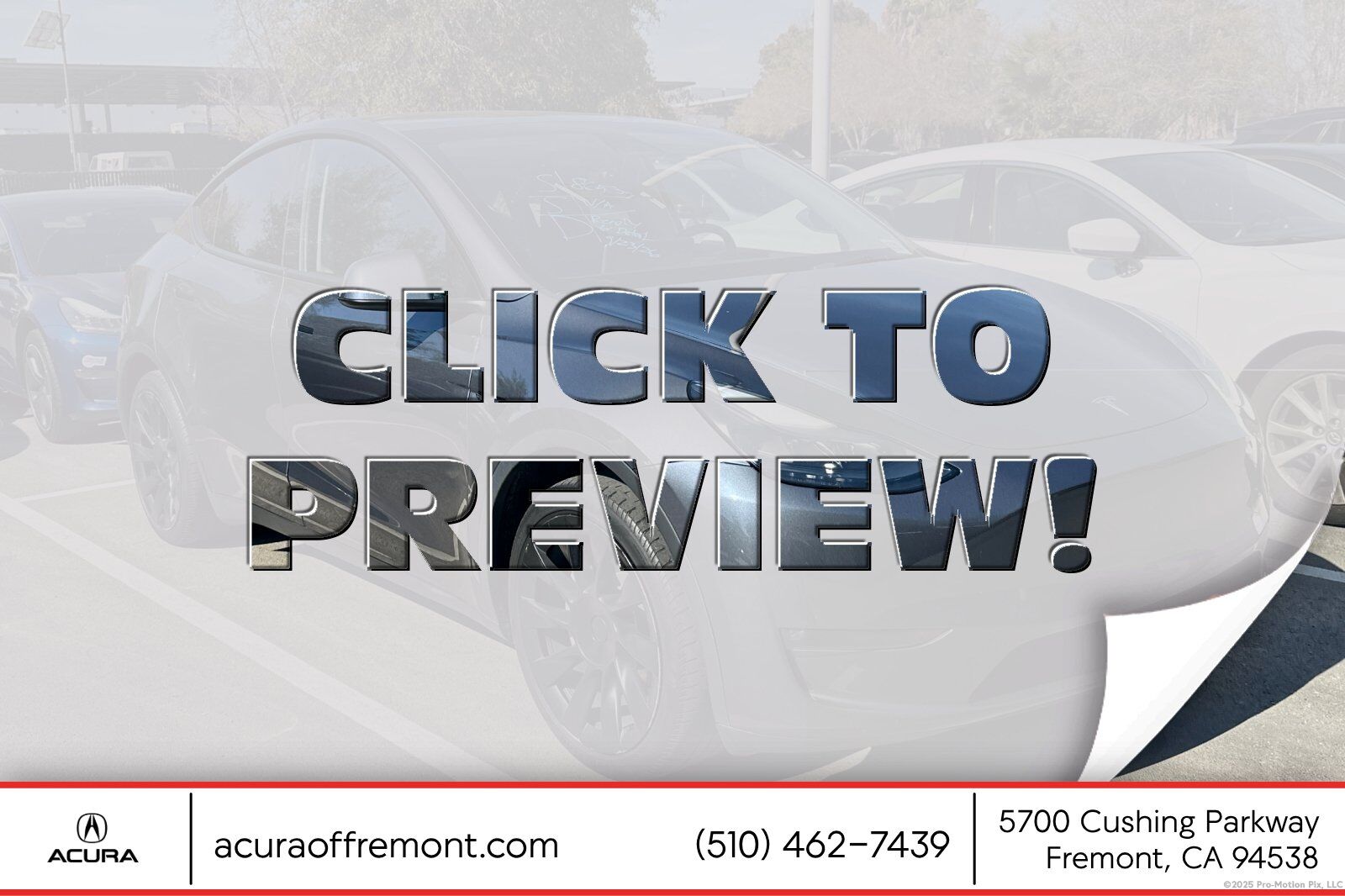 2023 TESLA Model Y