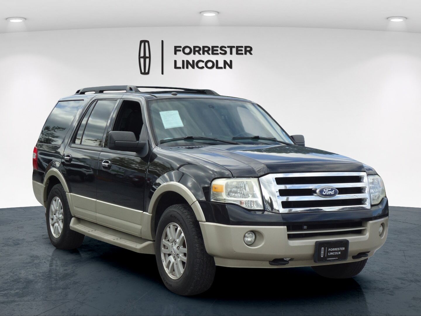 2010 FORD Expedition