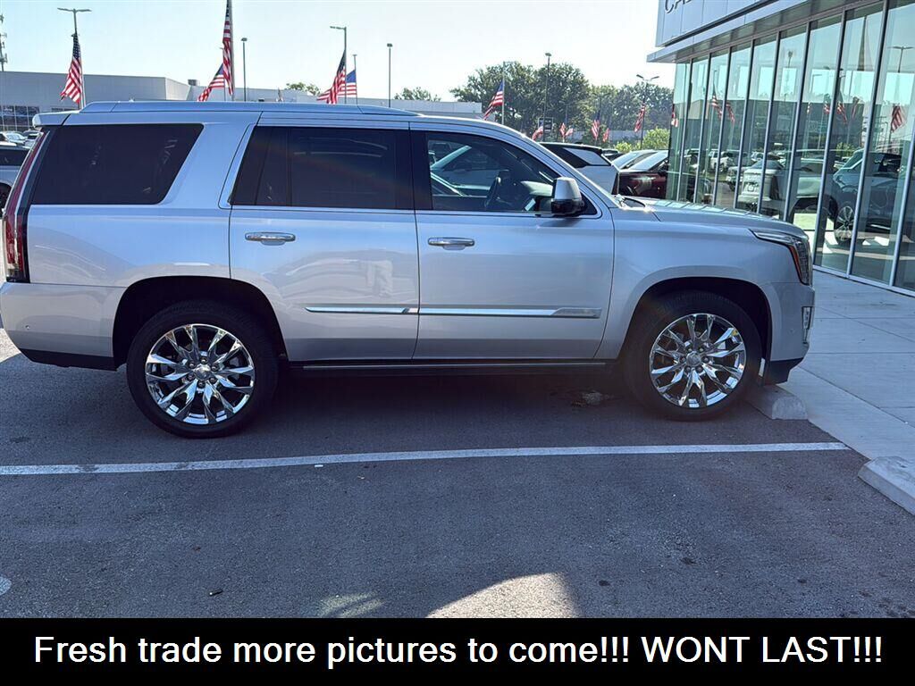 2019 CADILLAC Escalade