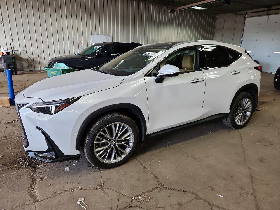 2025 LEXUS NX