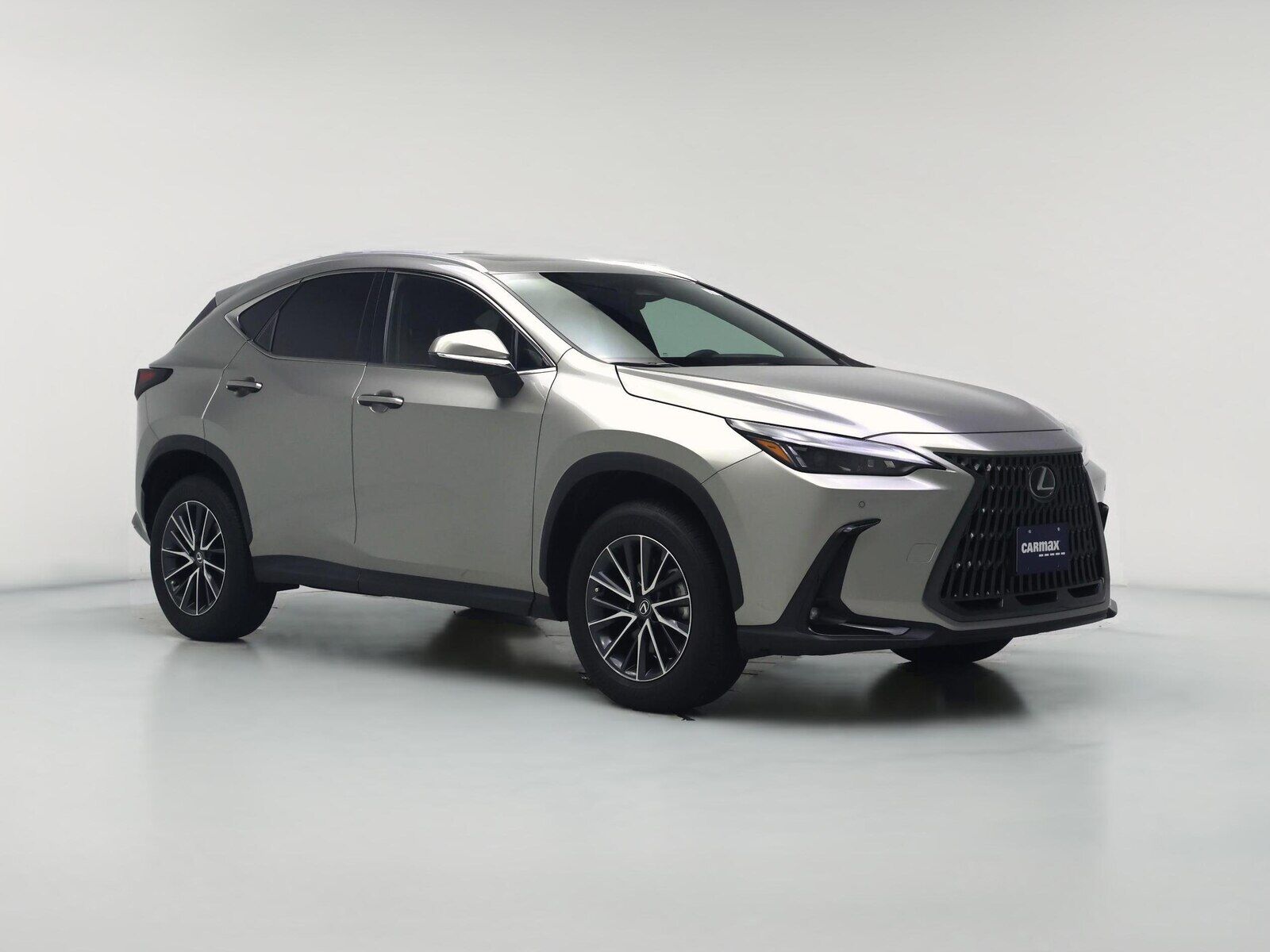 2025 LEXUS NX