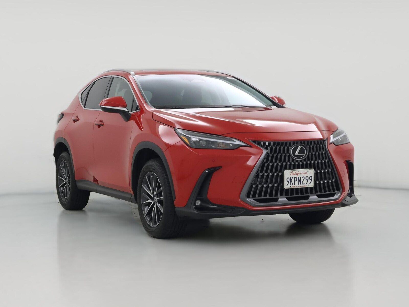 2024 LEXUS NX