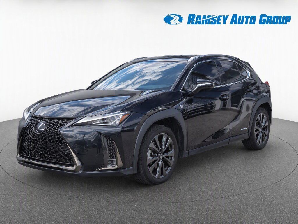 2019 LEXUS UX