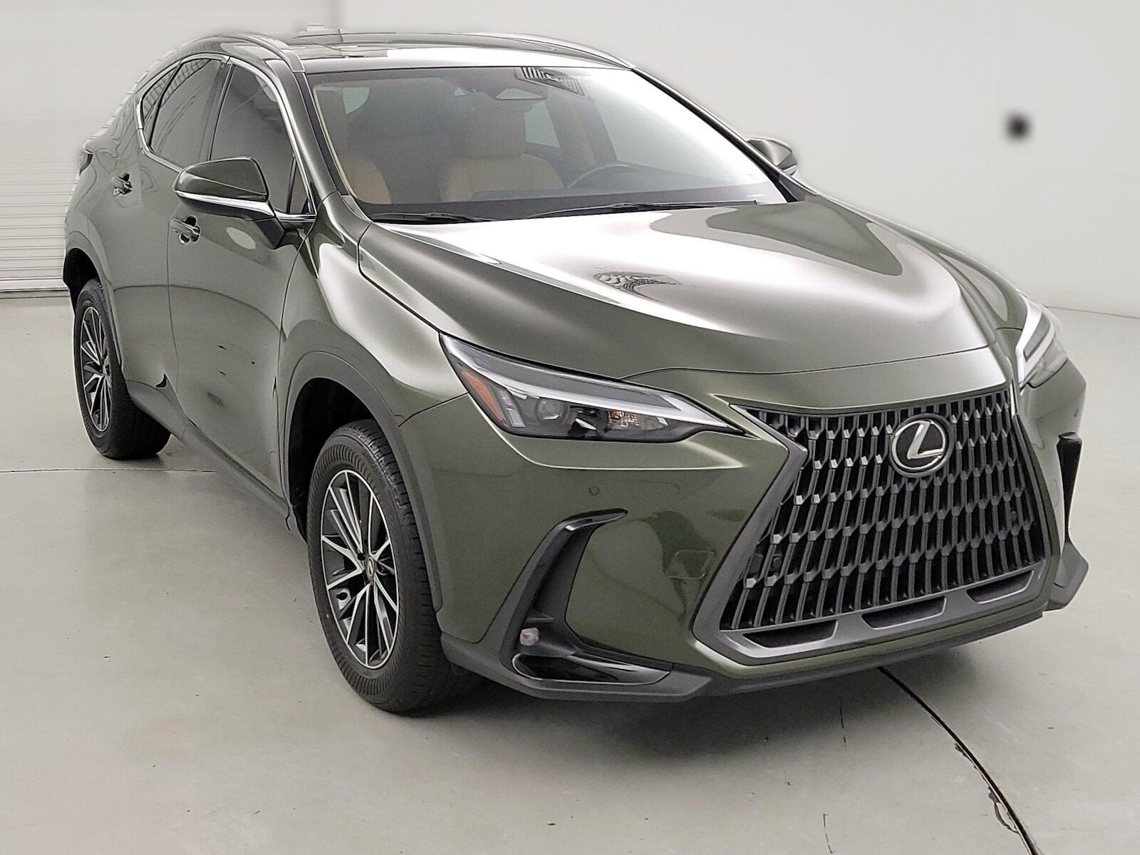 2024 LEXUS NX
